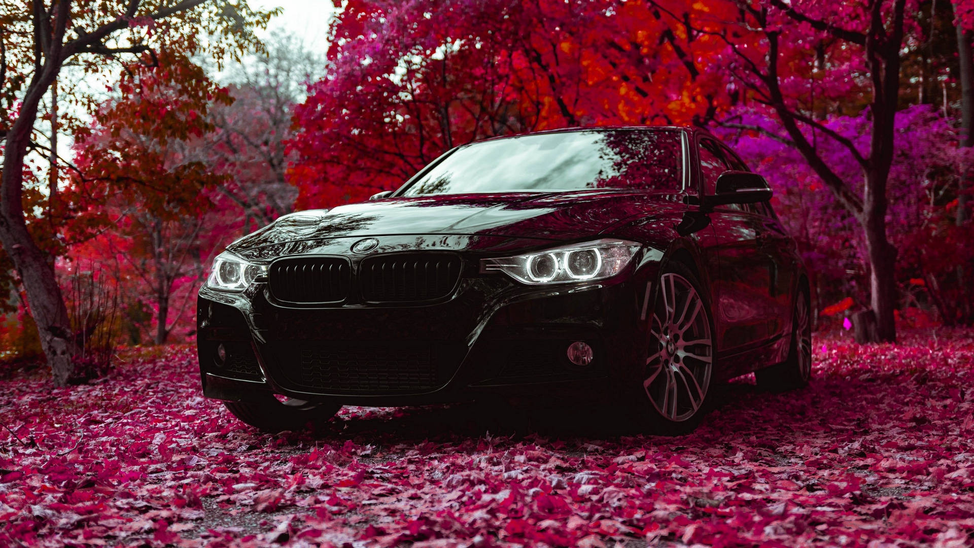 검은색 F30 풀HD BMW 배경화면