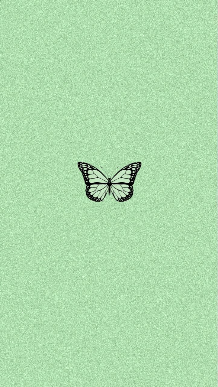검은색과 초록색 나비 배경화면