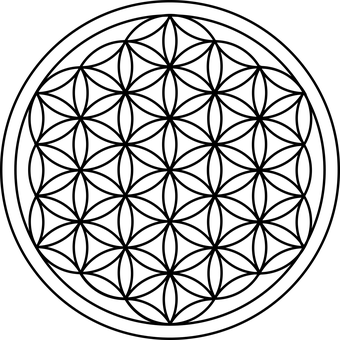 검정 배경 꽃 사진