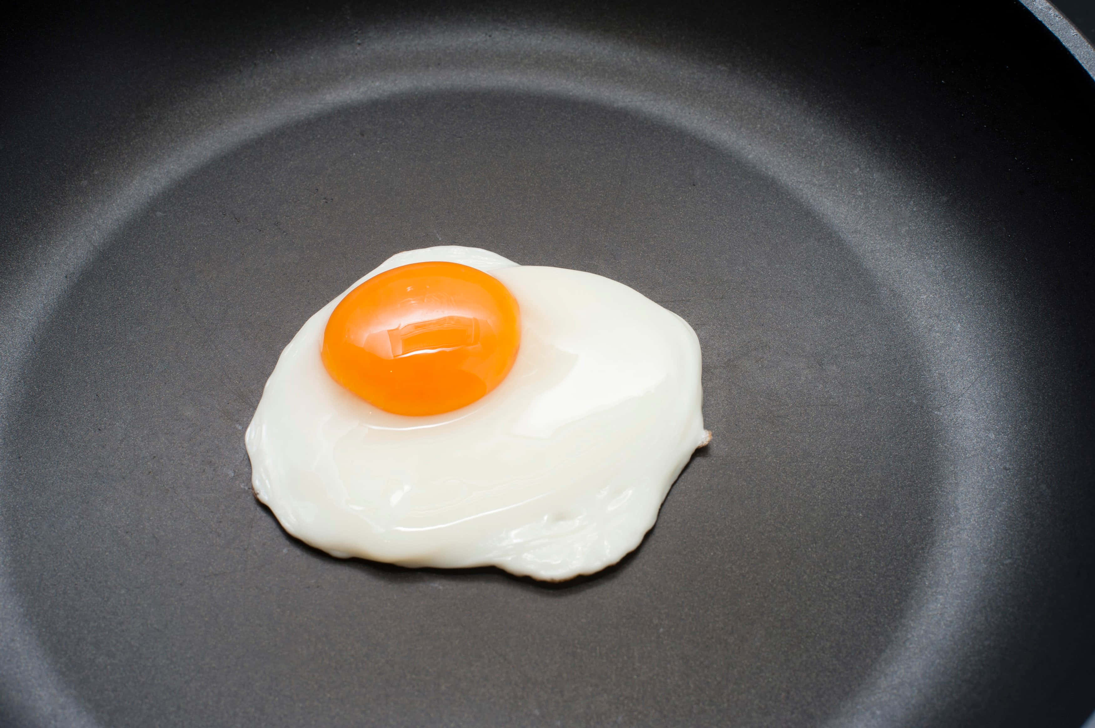 계란의 소박한 기쁨 배경화면