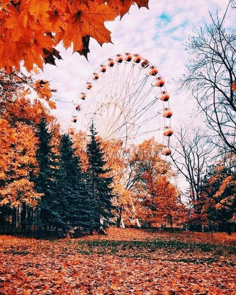 계절의 변화를 즐기세요. 배경화면
