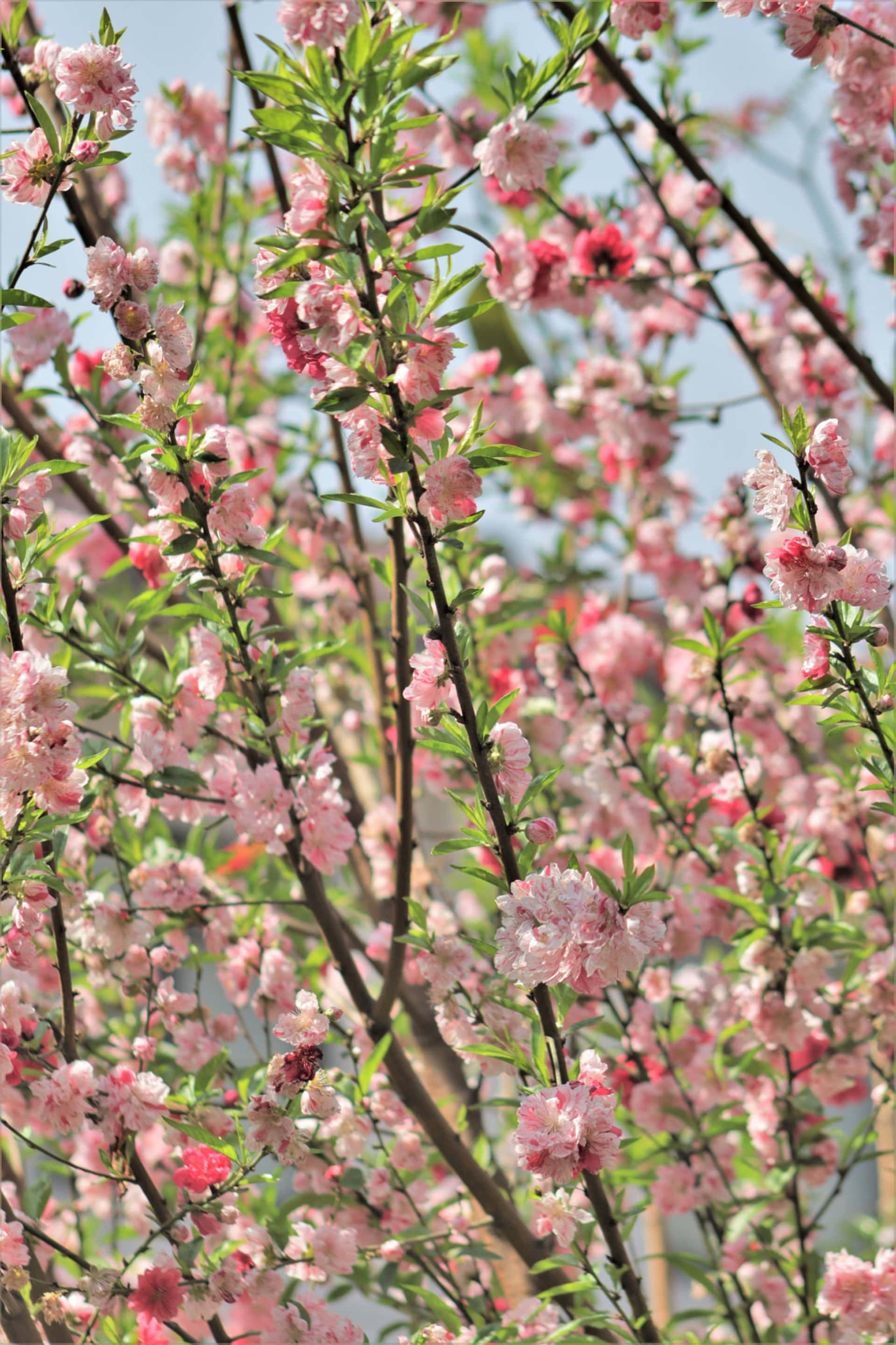 고요하고 평화로운 풍경 배경화면