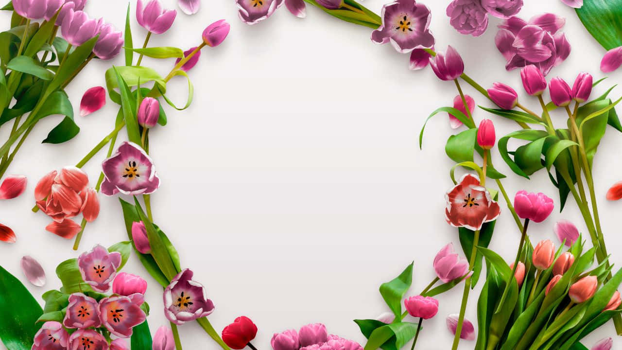고요한 호수 자연 경관 배경화면