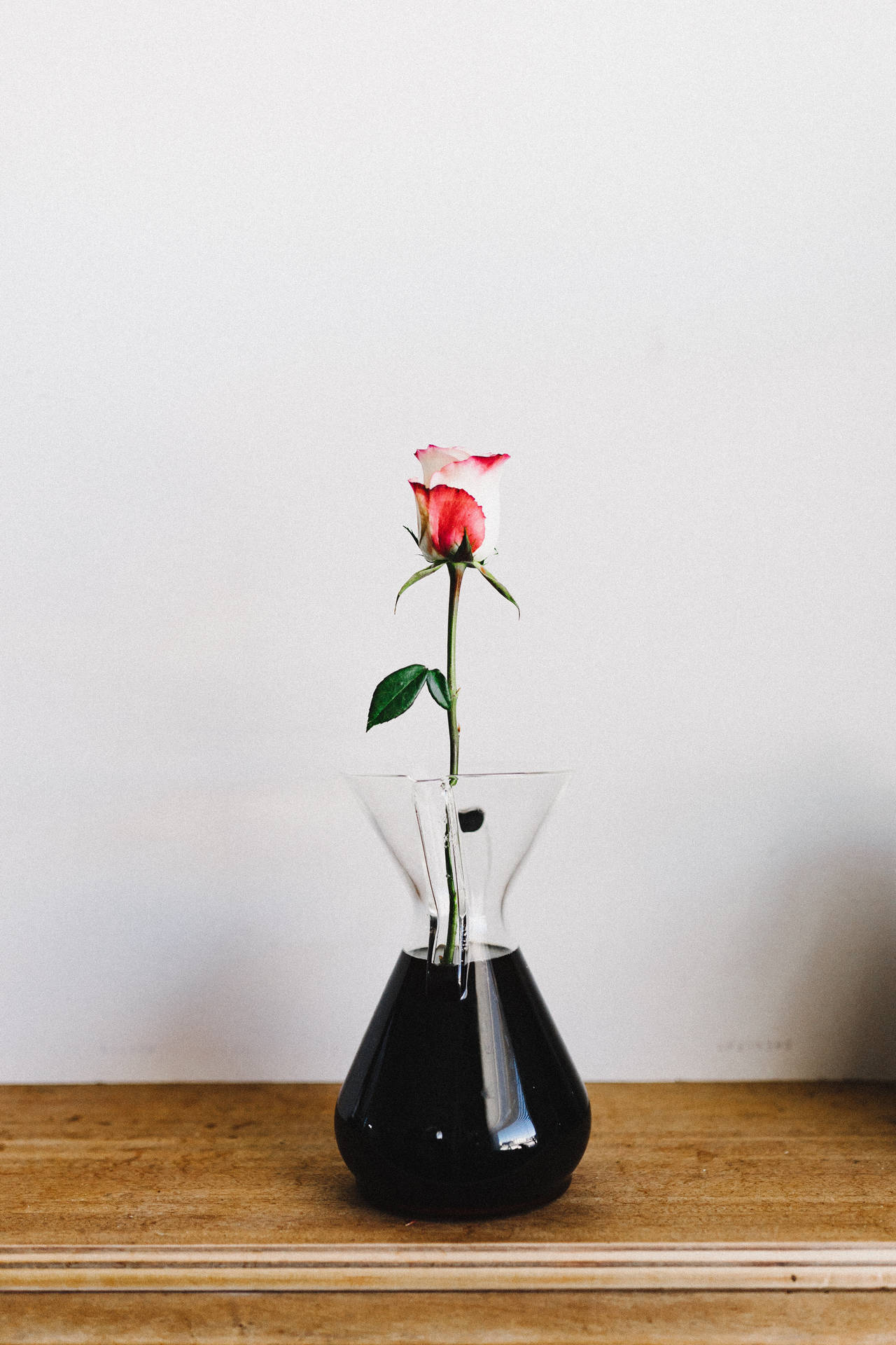 장미, 꽃, 꽃병 미리보기
