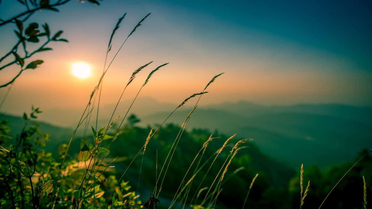 구릉과 장엄한 일몰의 평온한 풍경 배경화면