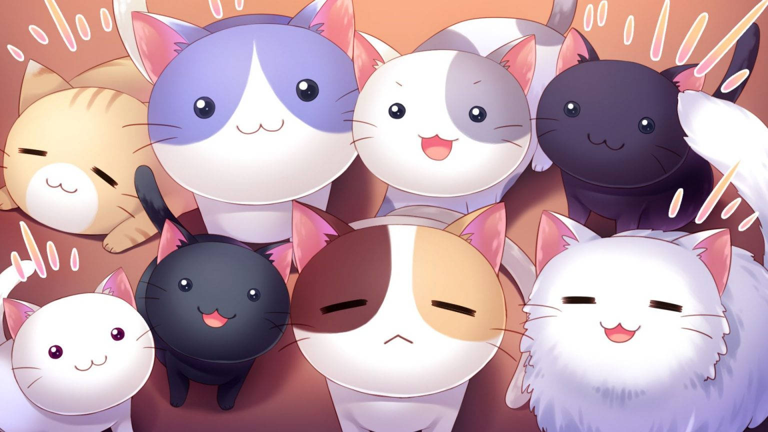 귀여운 HD 웃는 고양이 배경화면
