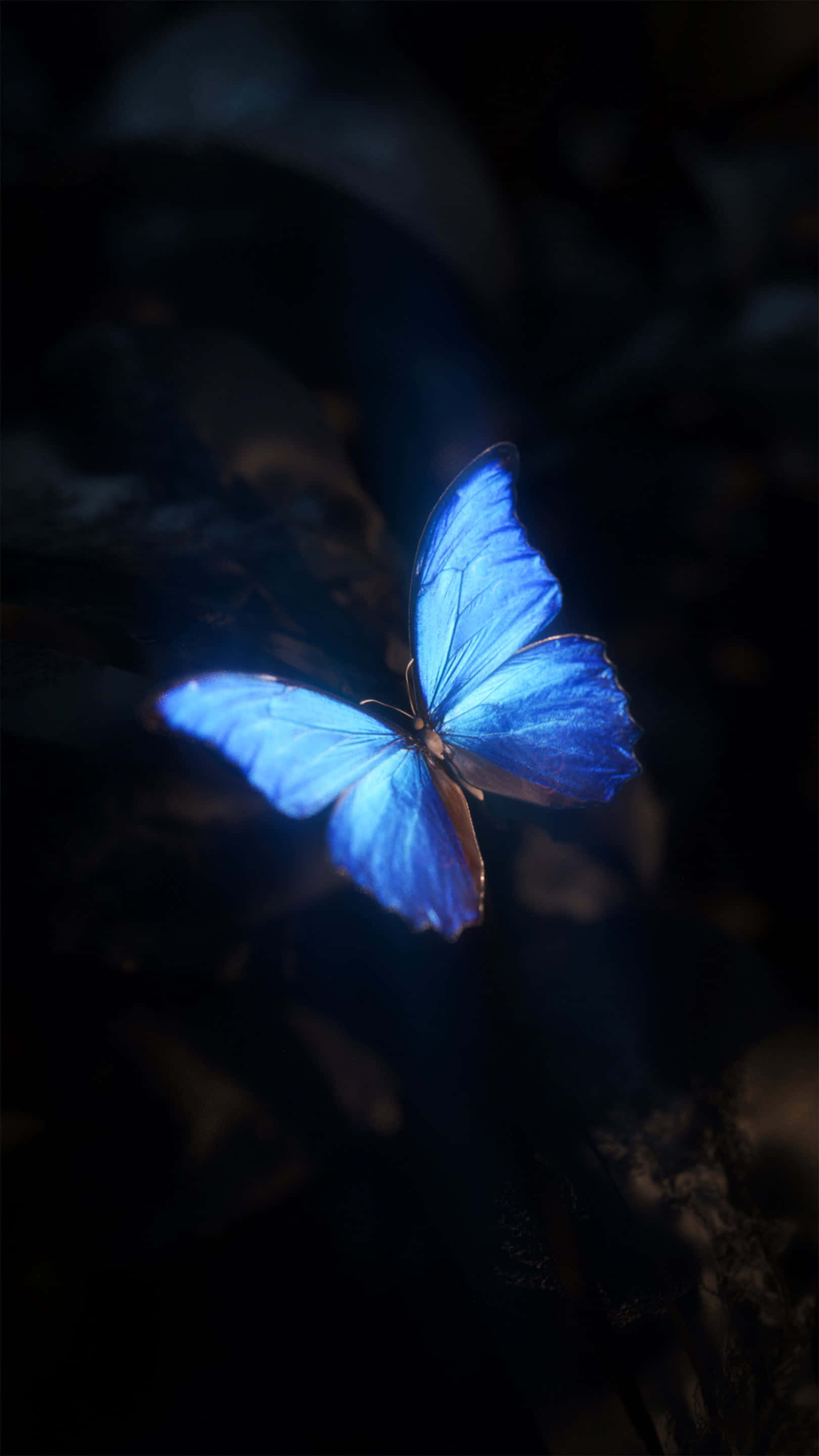 귀여운 검정 배경 배경화면