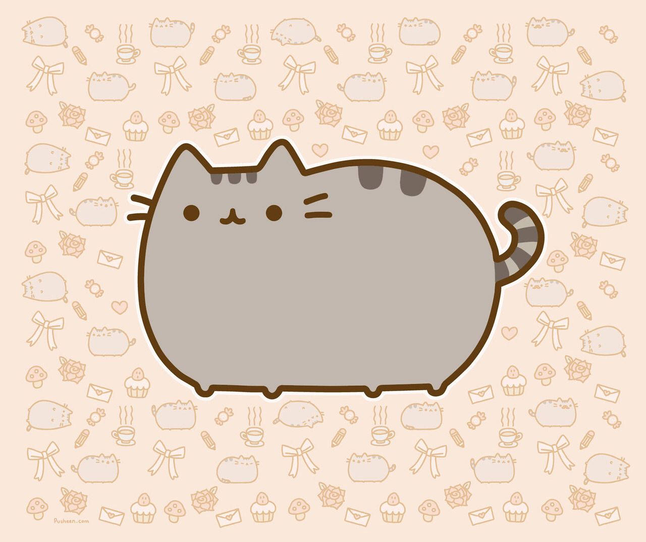 귀여운 아이패드 푸신 고양이 배경화면