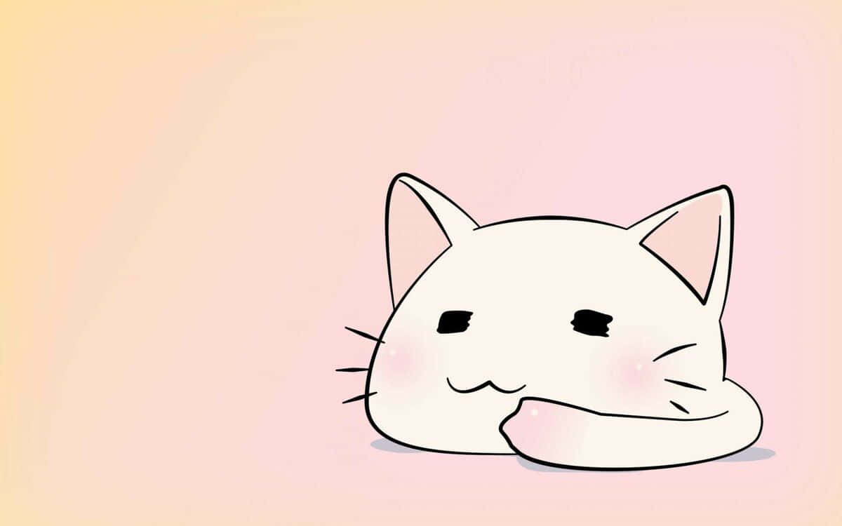 귀여운 애니메이션 고양이, 애완동물 가게에서 배경화면