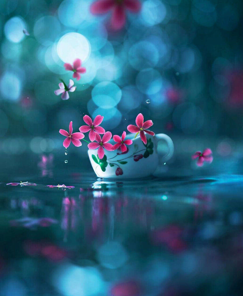꽃이 담긴 컵 왓츠앱 DP 배경화면
