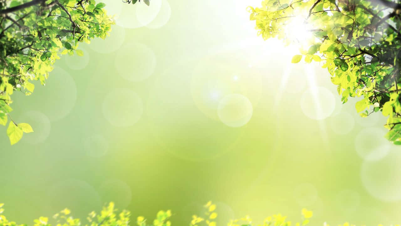 끝없는 해변의 공중 조망이 주는 경관미 배경화면