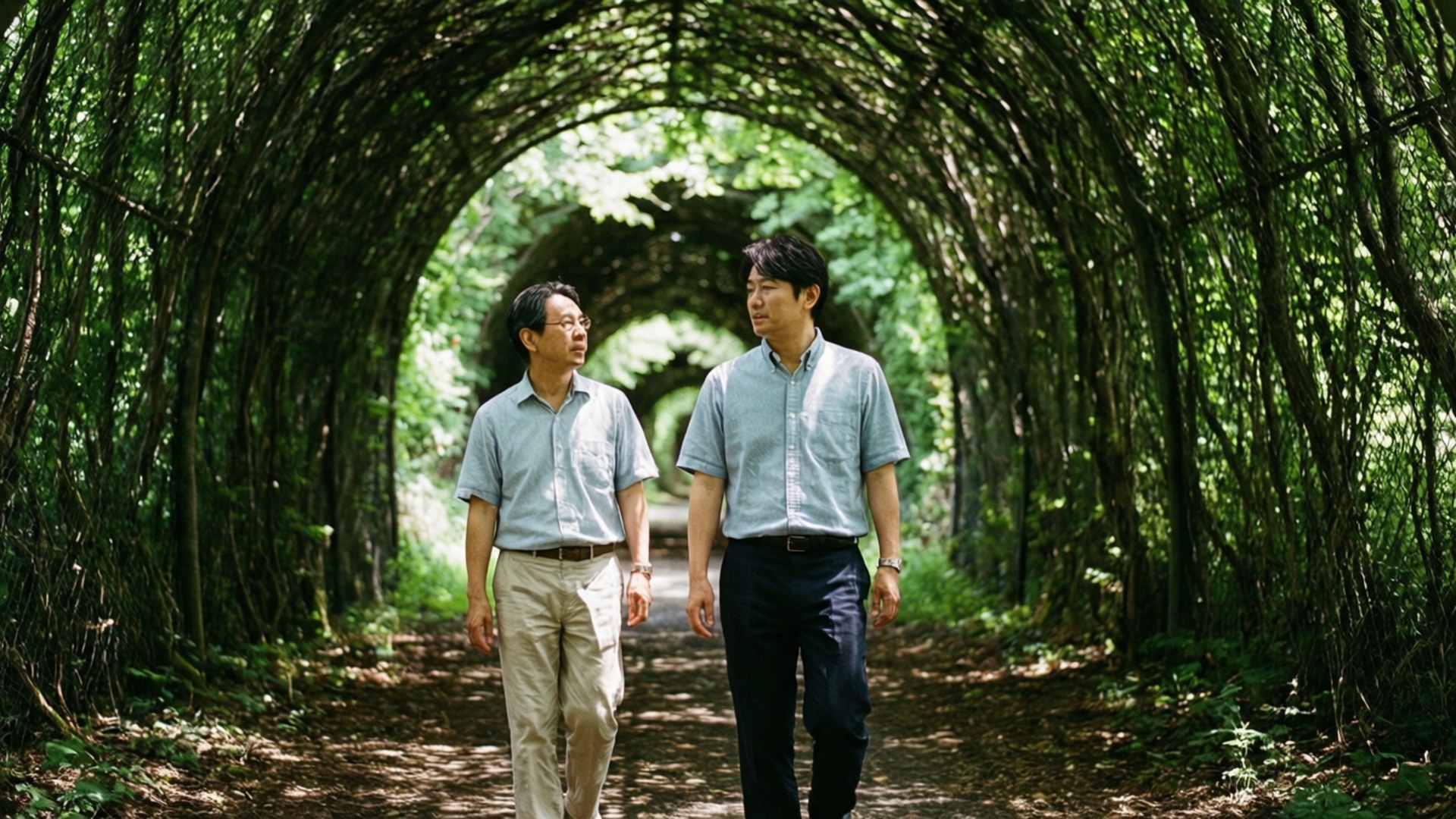 나무 터널 산책 배경화면