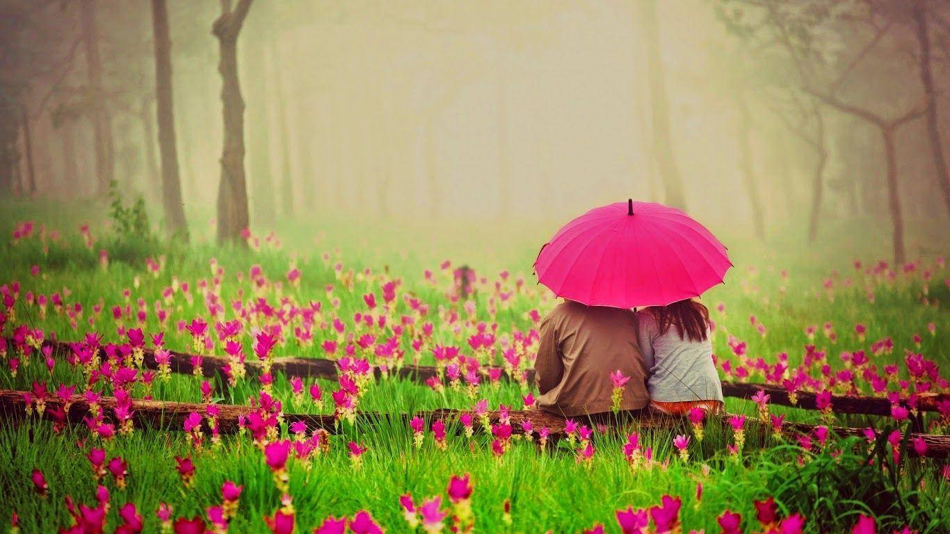내 사랑 앉아있는 땅 꽃 배경화면