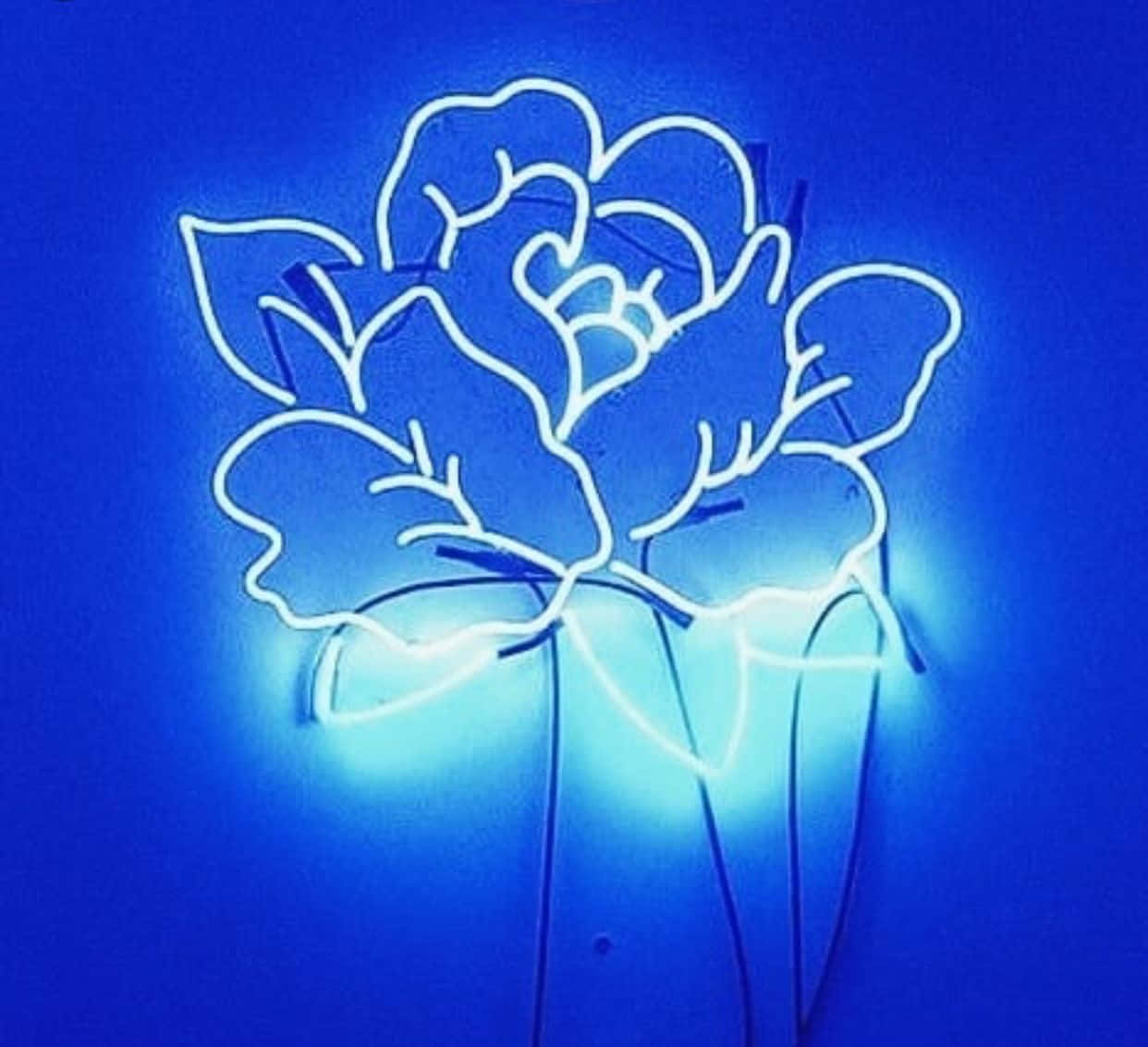 네온 블루 미학의 초현실적인 아름다움 탐험 배경화면
