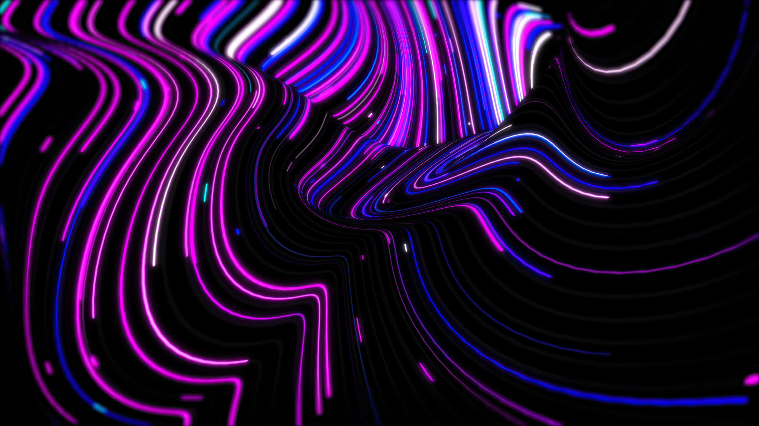 네온 퍼플 추상 라인 1440p AMOLED 배경 배경화면