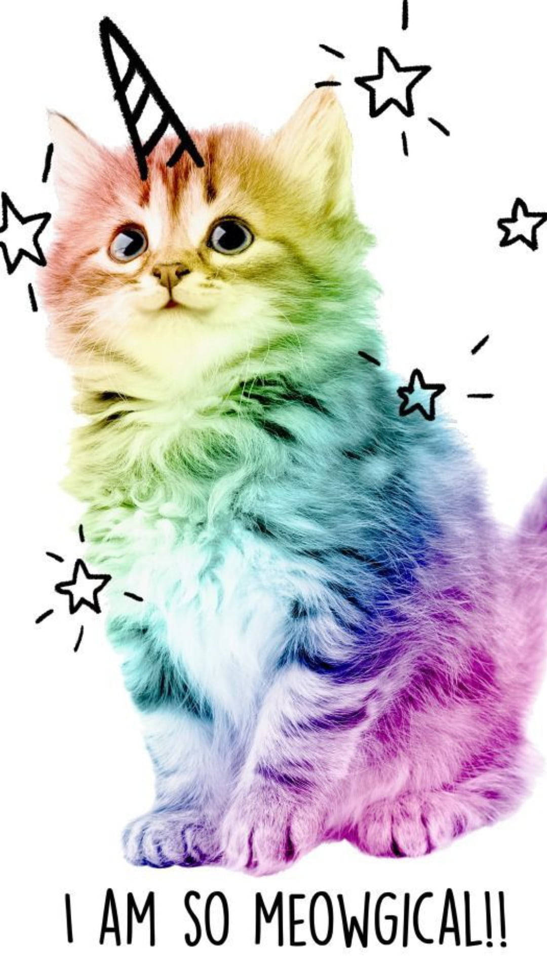 다채로운 귀여운 키티 배경화면