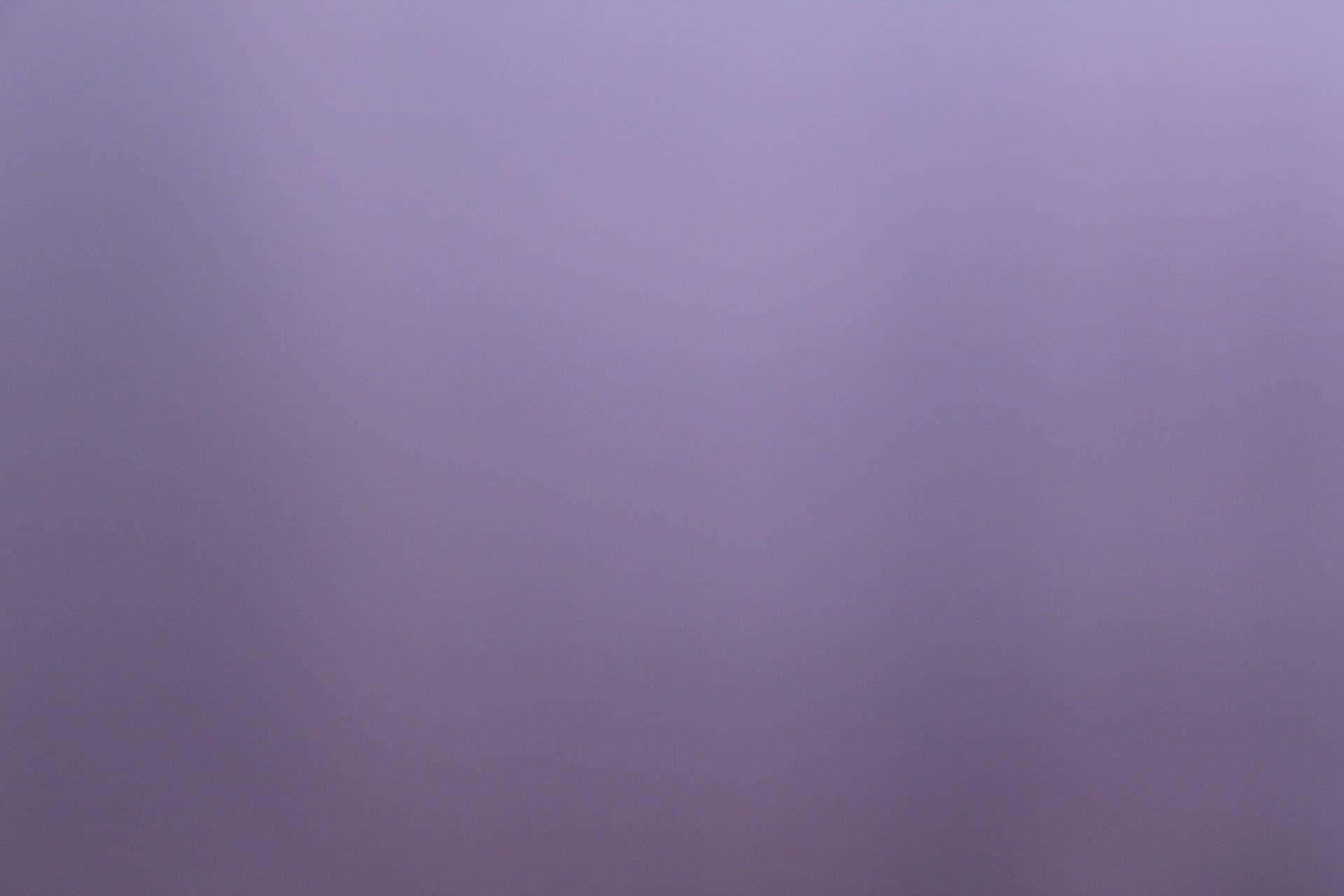 단색 보라색 배경 배경화면