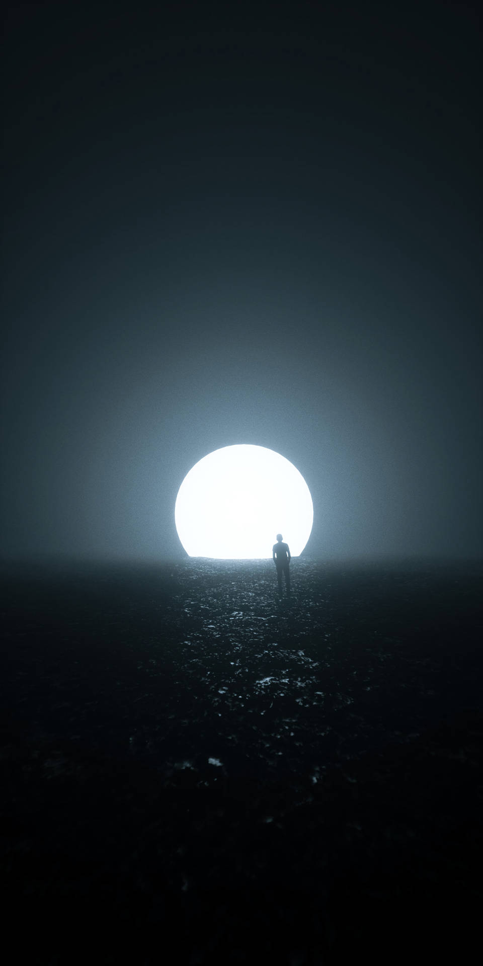 달이 있는 어두운 밤 배경화면