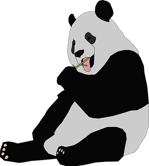 대나무를 먹고 있는 판다 배경화면