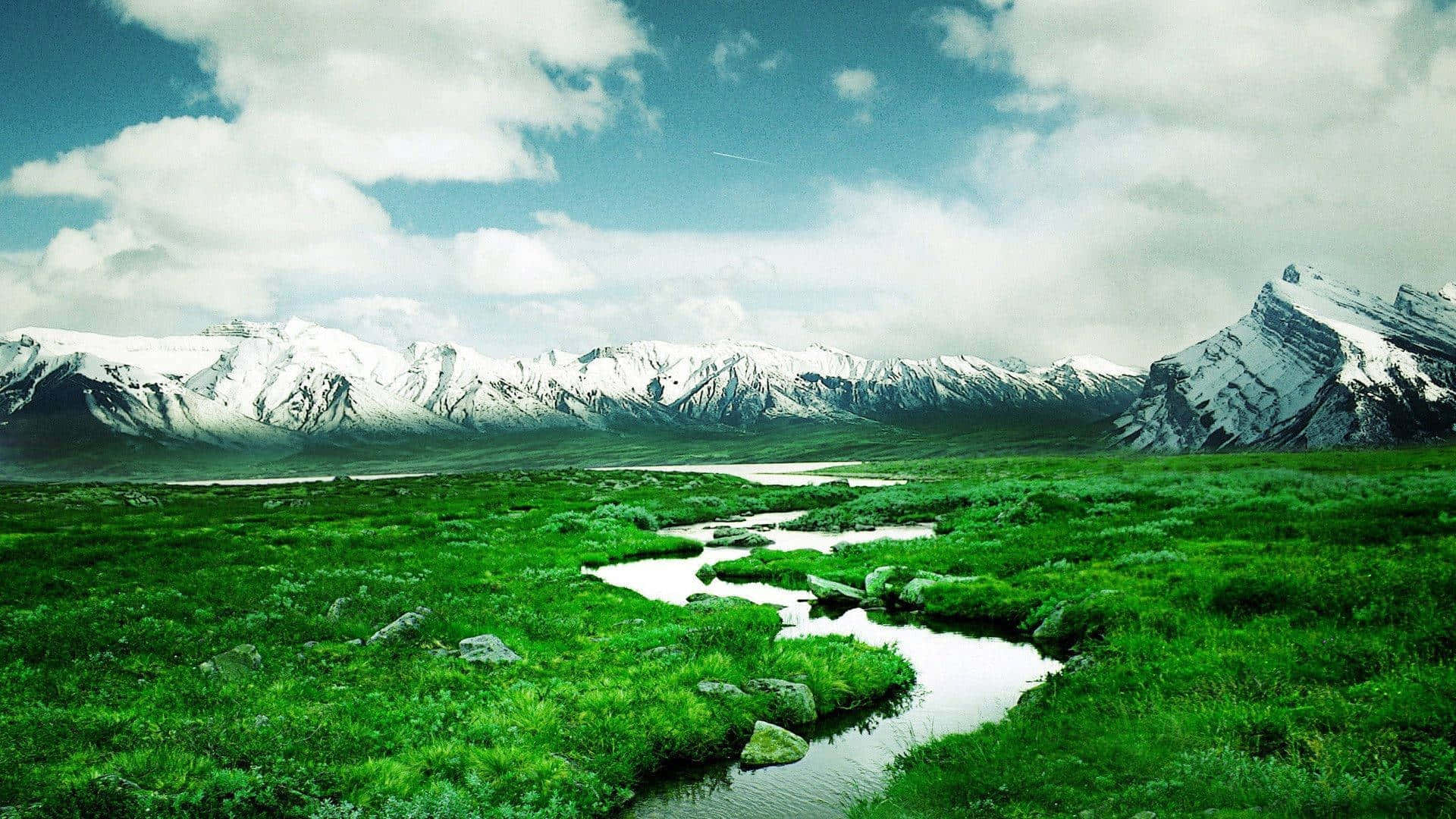 더 나은 삶을 꿈꾸는 남자 배경화면