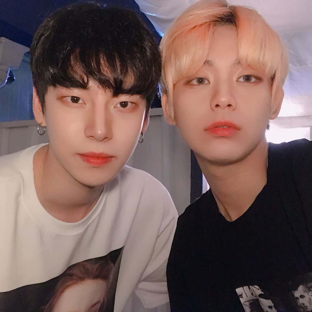 모던 에스테틱 보이, 스타일과 신비로움을 풍기다 배경화면