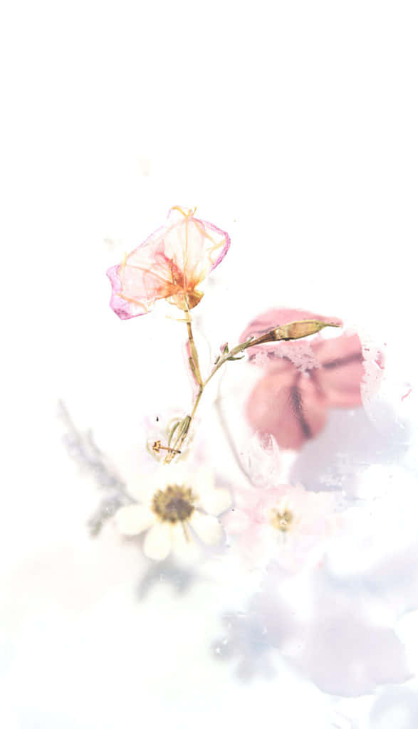 미니멀리스트 감성 배경화면
