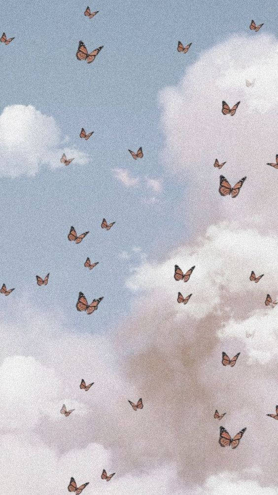 미적 폰 나비 배경화면