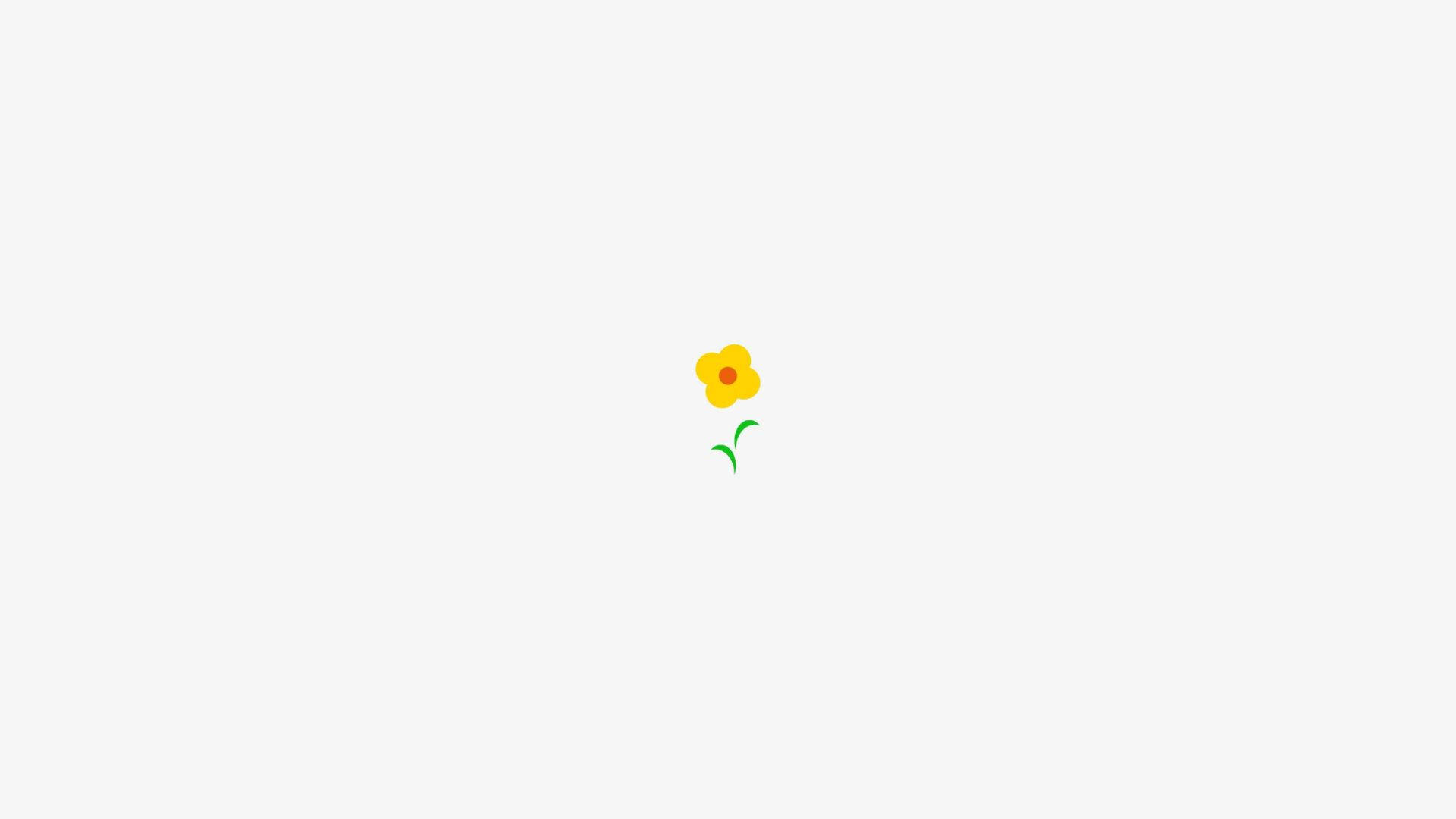 미적 흰 해바라기 배경화면