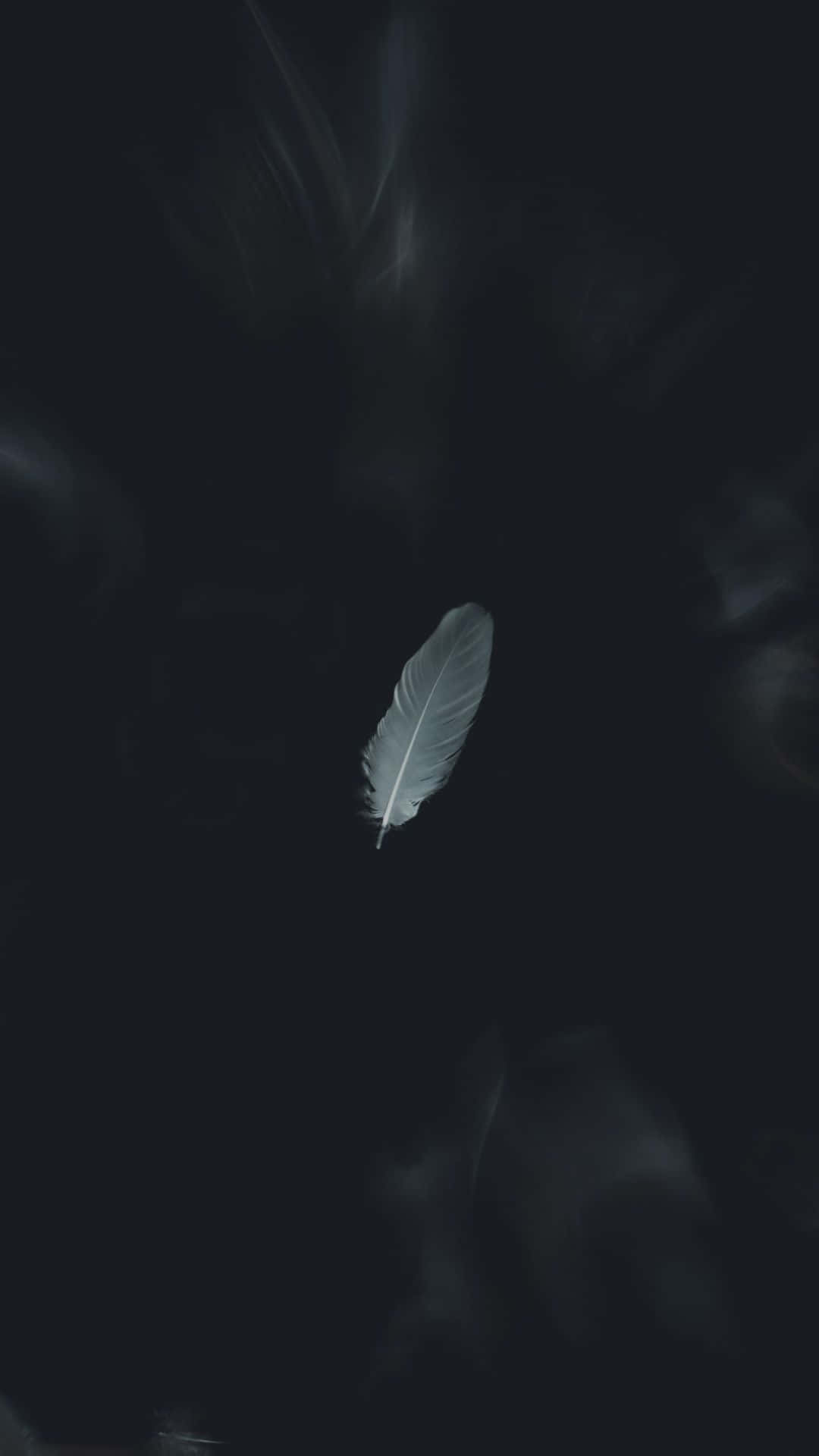 미적인 흑백 장면 배경화면