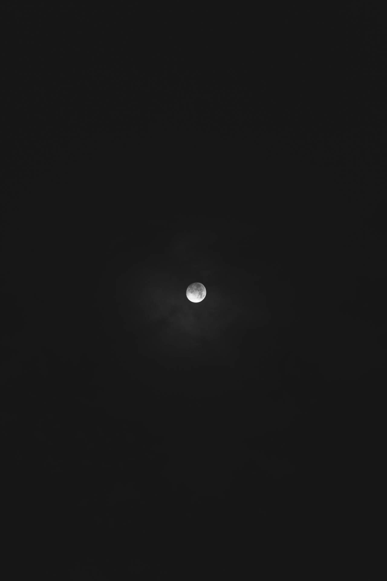어두운 한밤중 저녁 하늘의 보름달. 아래에서 바라본 달의 모습. 밝은 달빛.