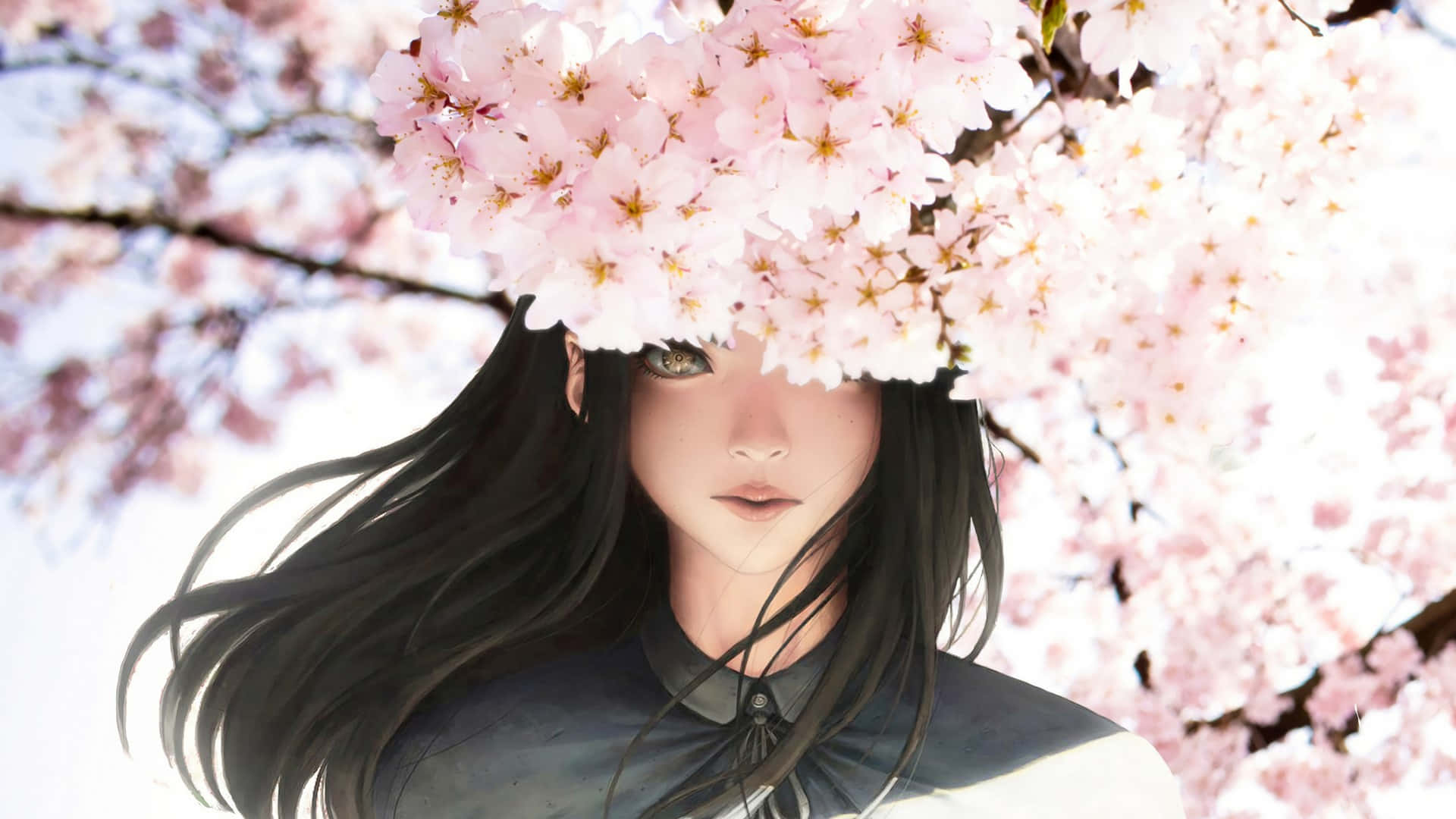 벚꽃 배경화면