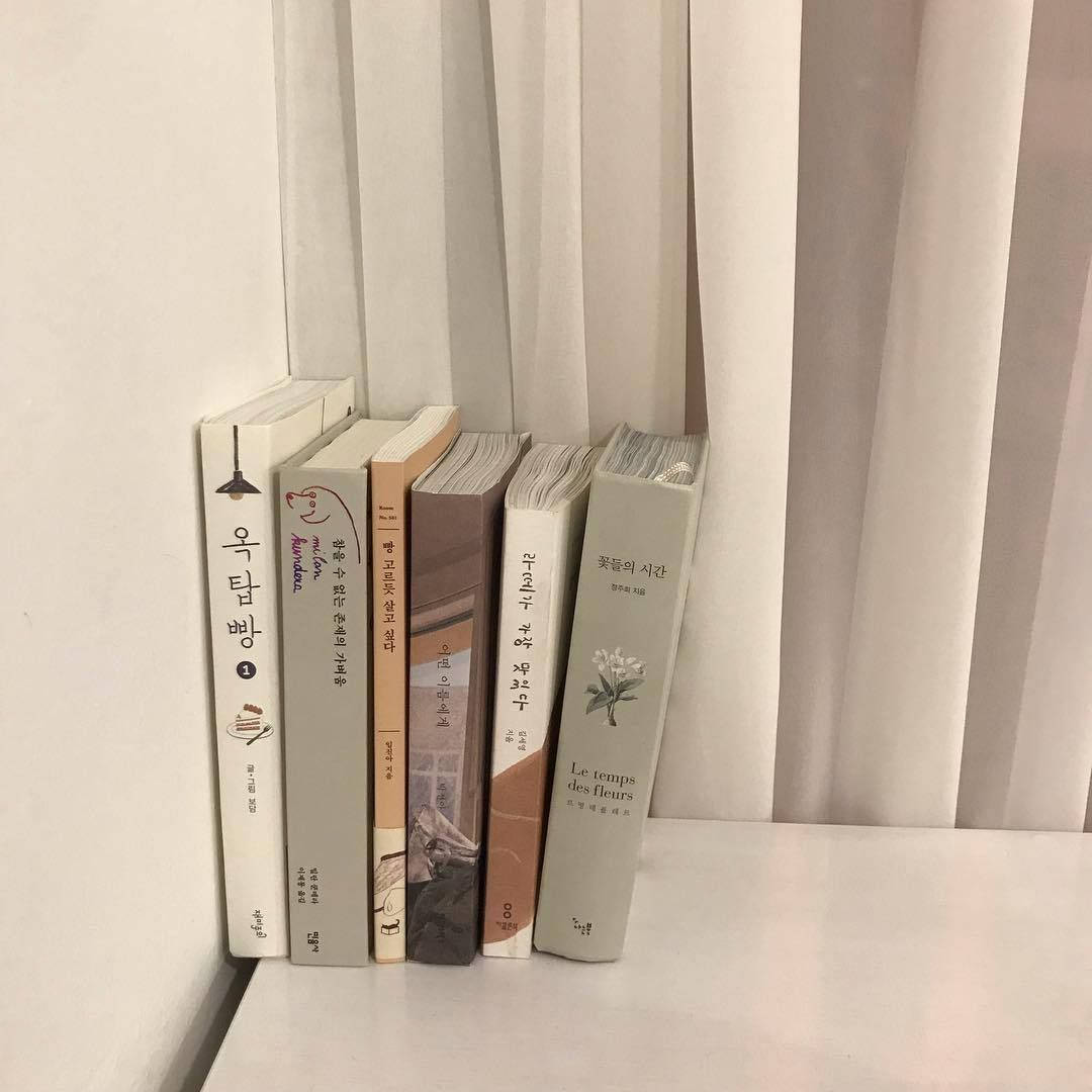 베이지 감성 한국 책들 배경화면