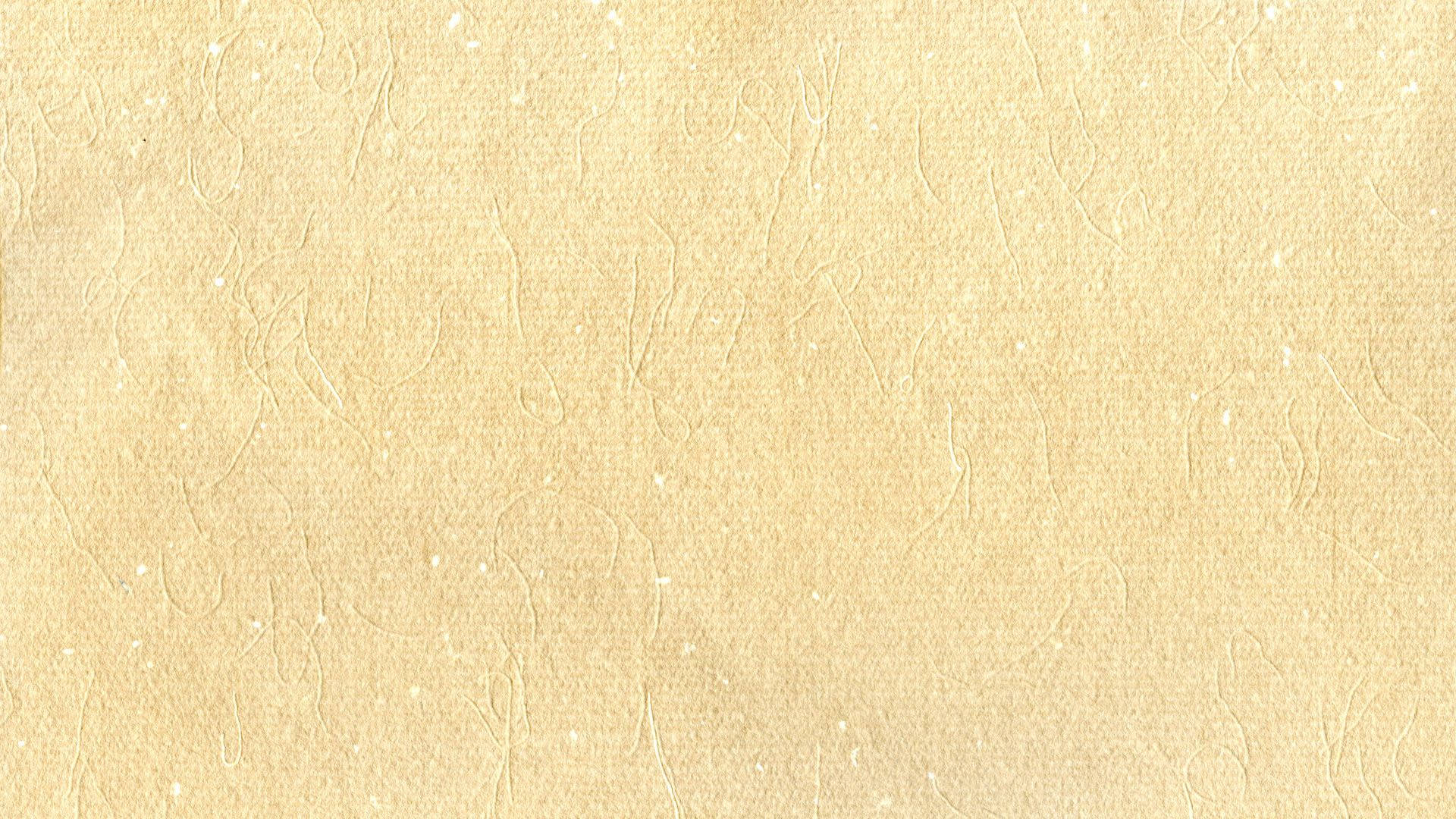 베이지 배경 종이 질감 배경화면