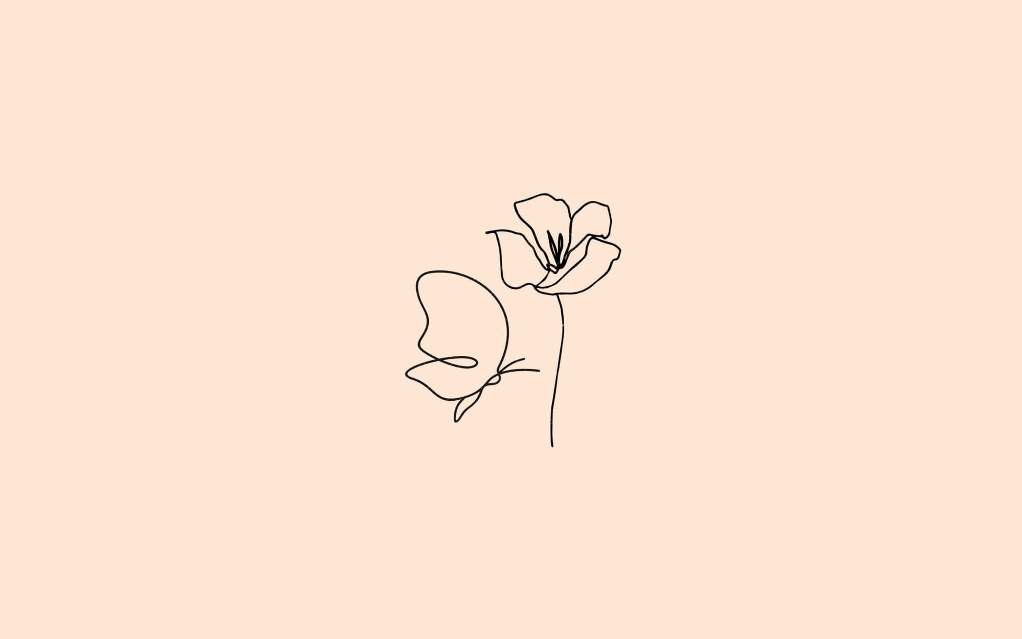 베이지의 따뜻함을 느껴보세요 배경화면
