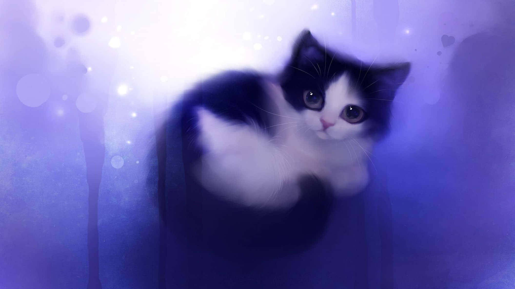 보라색 배경에 앉아 있는 흑백 고양이 배경화면