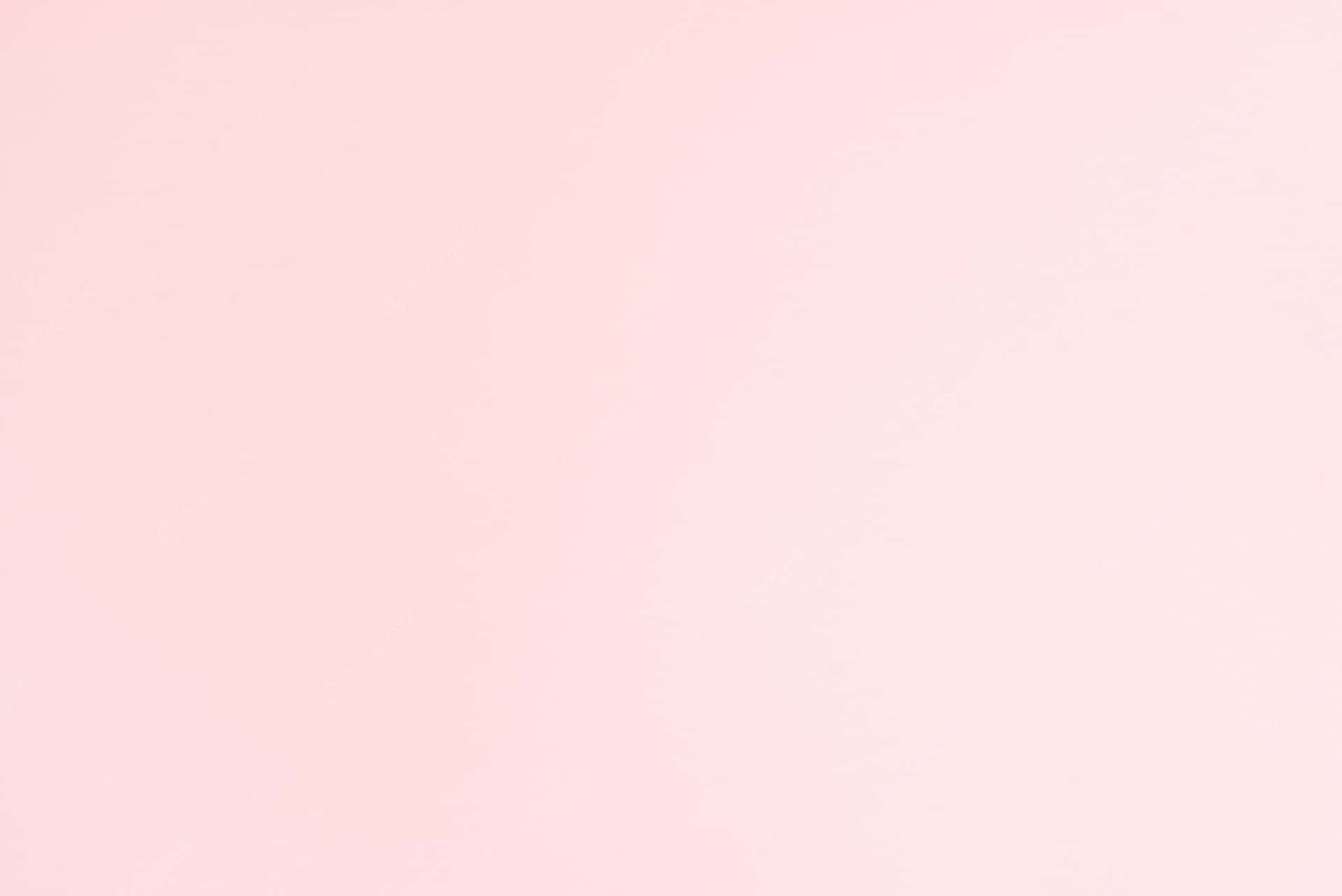 핑크 단색 — 핑크 감성 GIF 배경화면