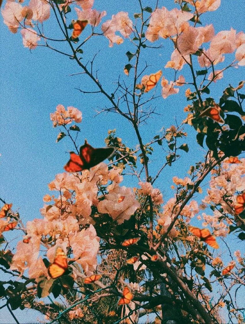 봄 감성 컴퓨터 화면 테마 배경화면