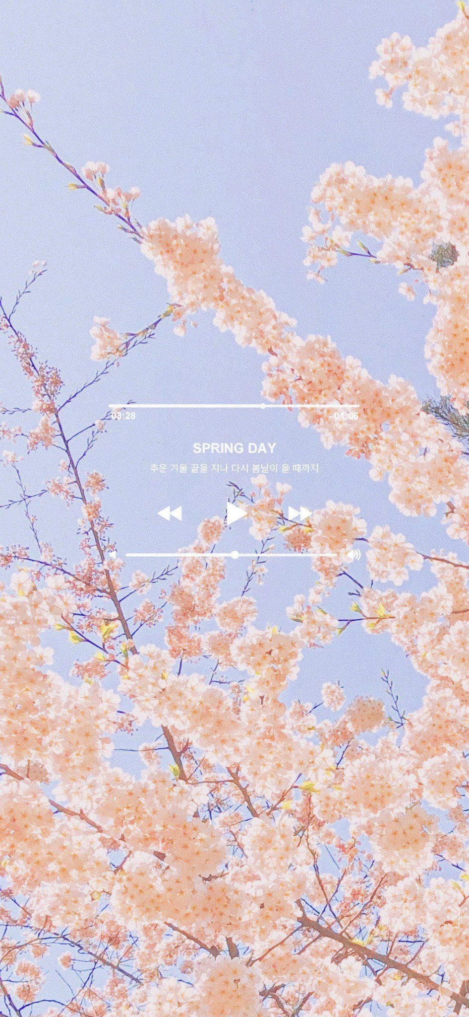 봄 감성 플레이리스트 배경화면