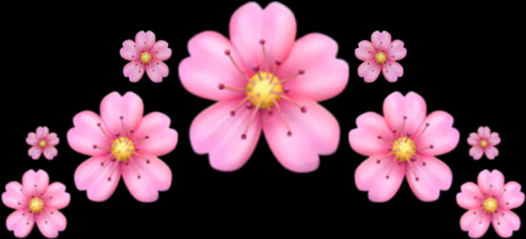 분홍 꽃, 검은 배경 배경화면