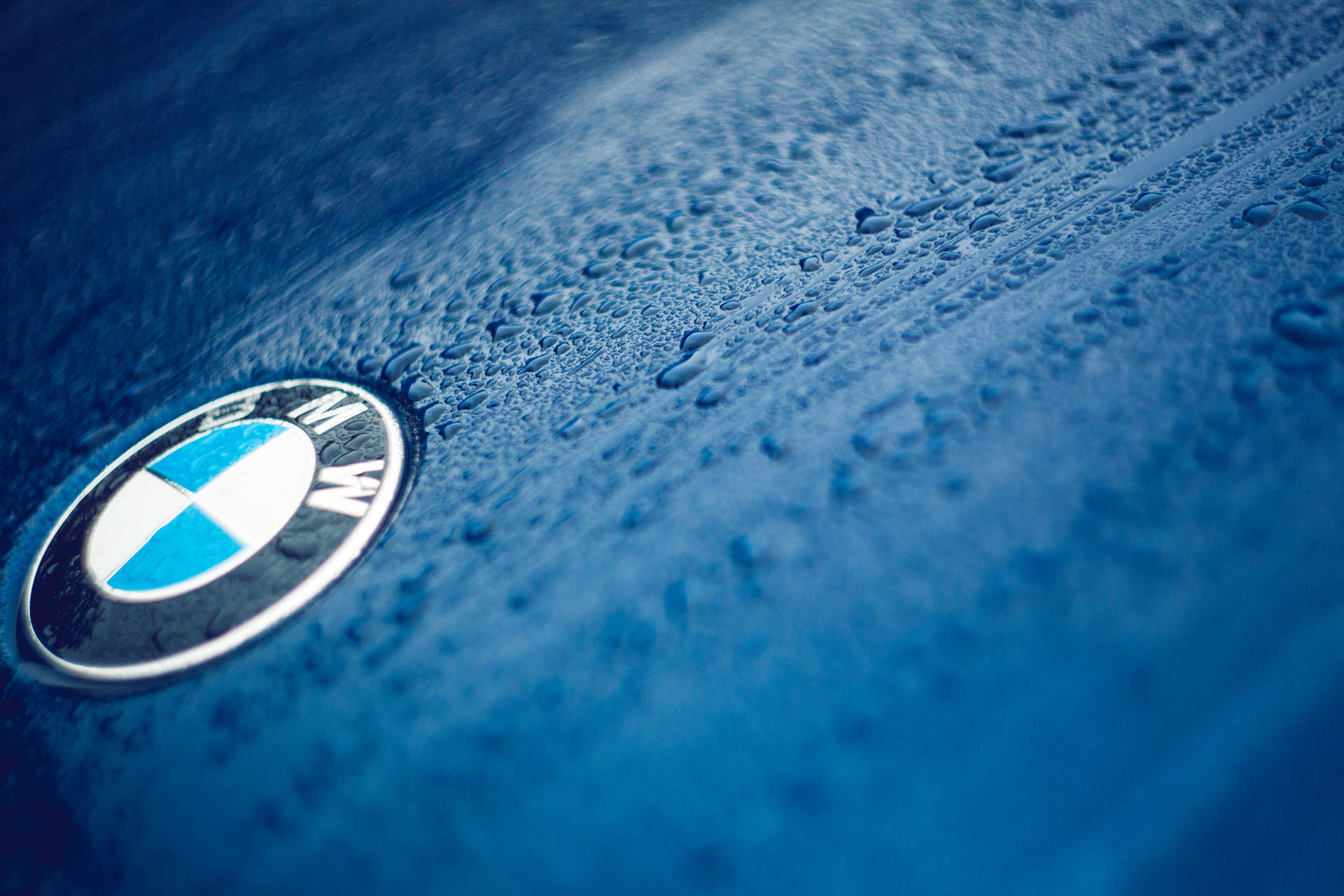 방울이 맺힌 파란색 자동차 위 BMW 로고의 클로즈업 벽지