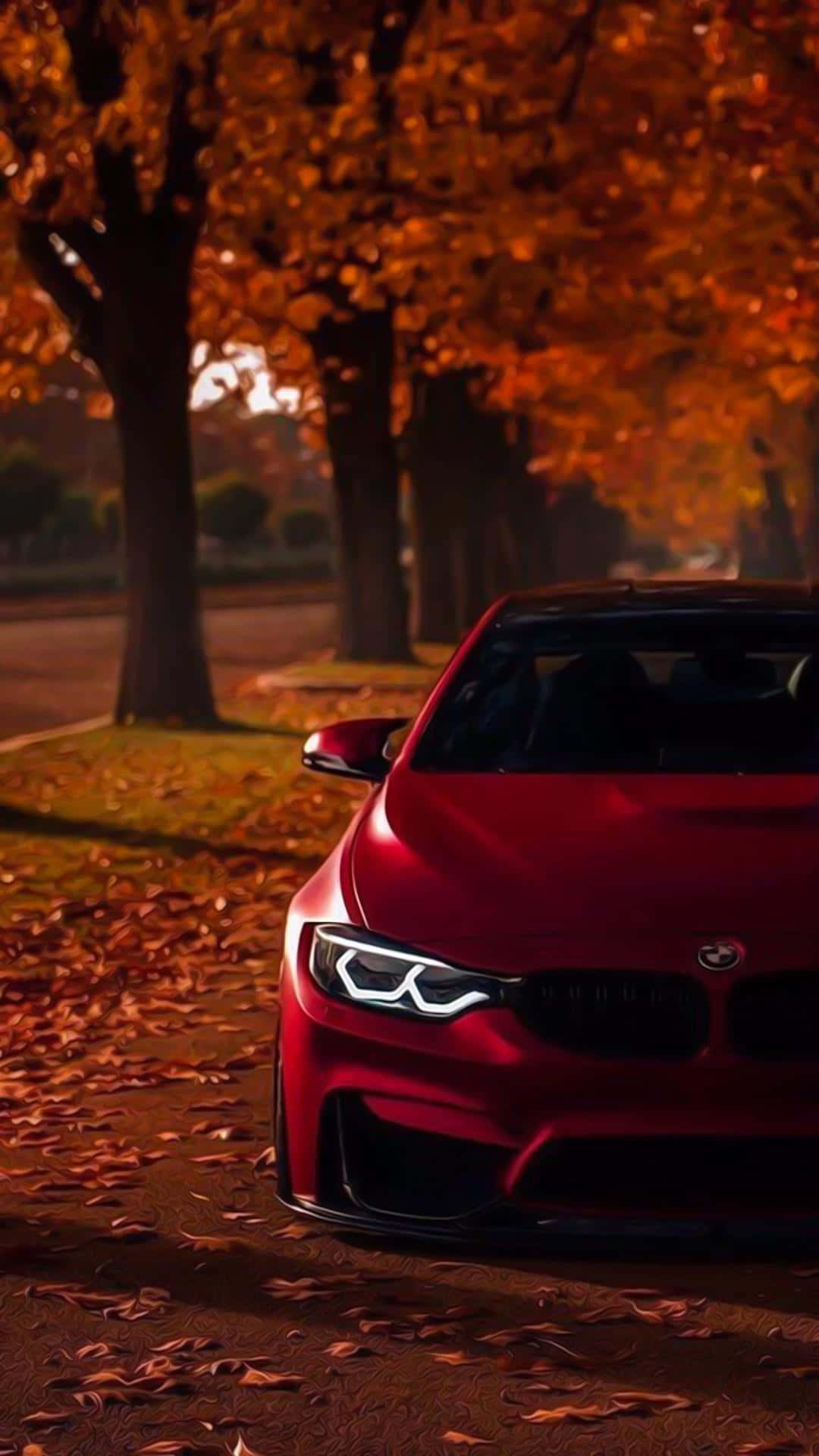 빨간색 비싼 BMW 주차됨 배경화면