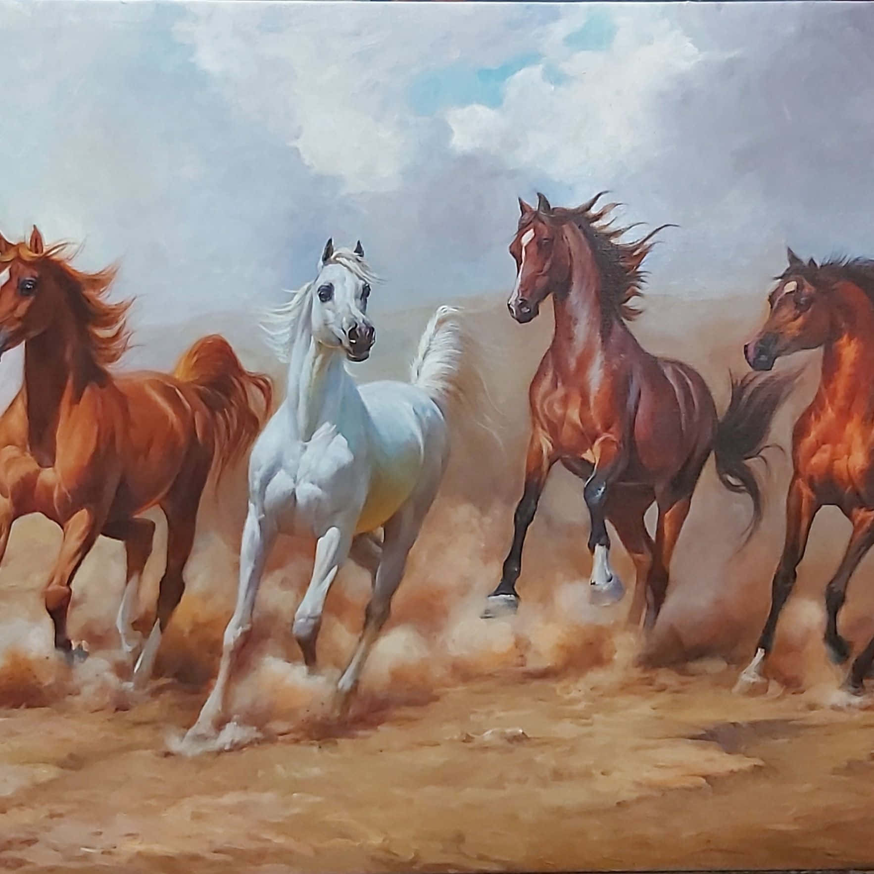 사막을 달리는 말 그림 배경화면
