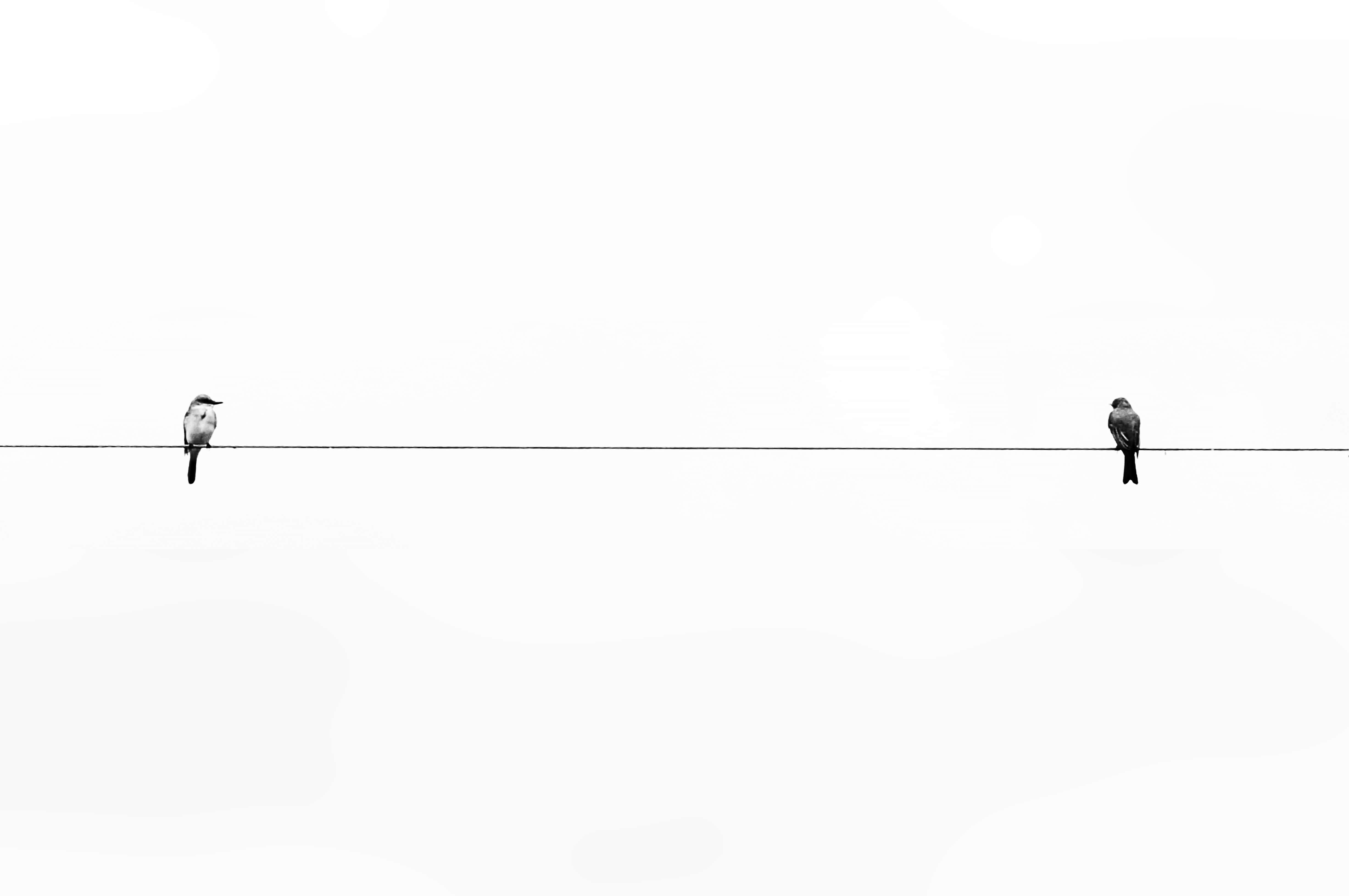 삶에 작은 화이트 감성의 아름다움을 들여보세요 배경화면