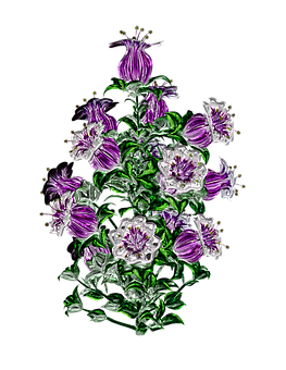 생생한 보라색 꽃 예술 작품