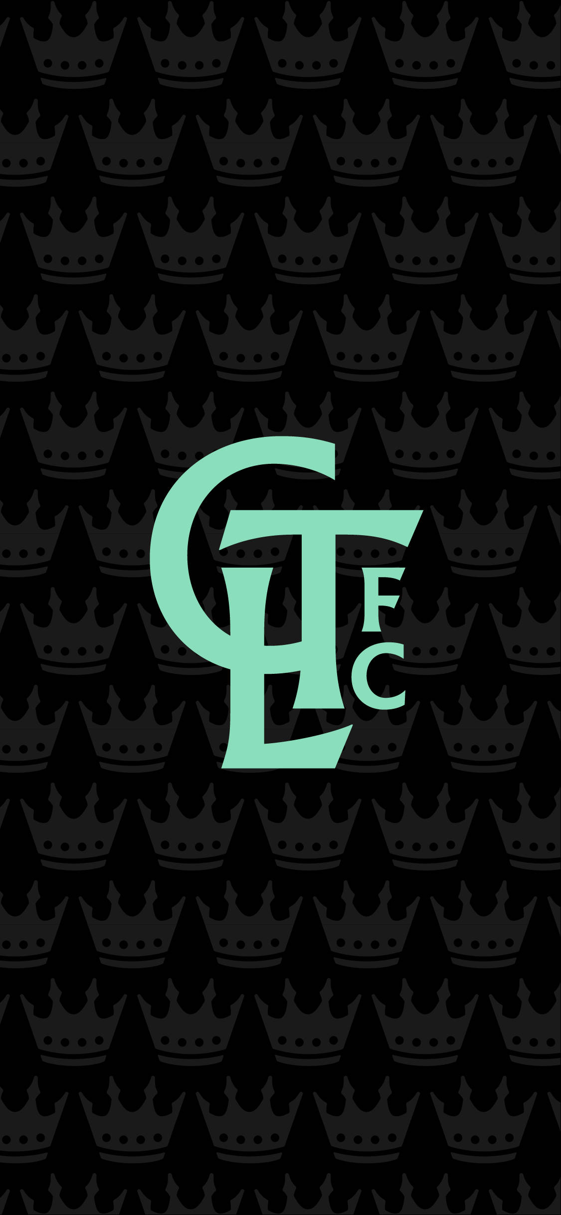 샬럿 FC 크라운 배경화면
