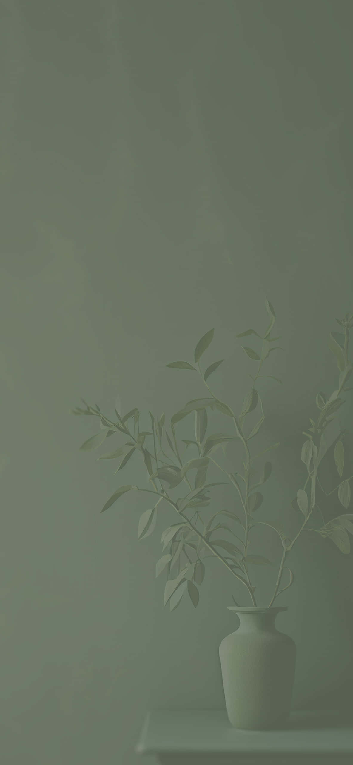 세이지 그린 배경의 부드러운 평온함 배경화면