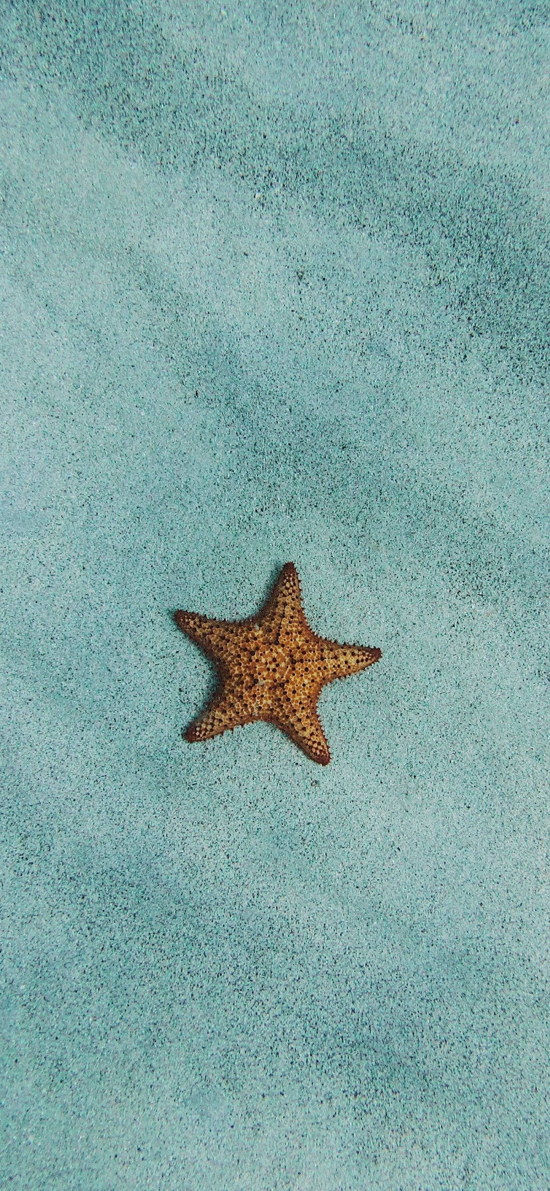 손에 쥔 세련된 구글 픽셀 3 스마트폰 배경화면