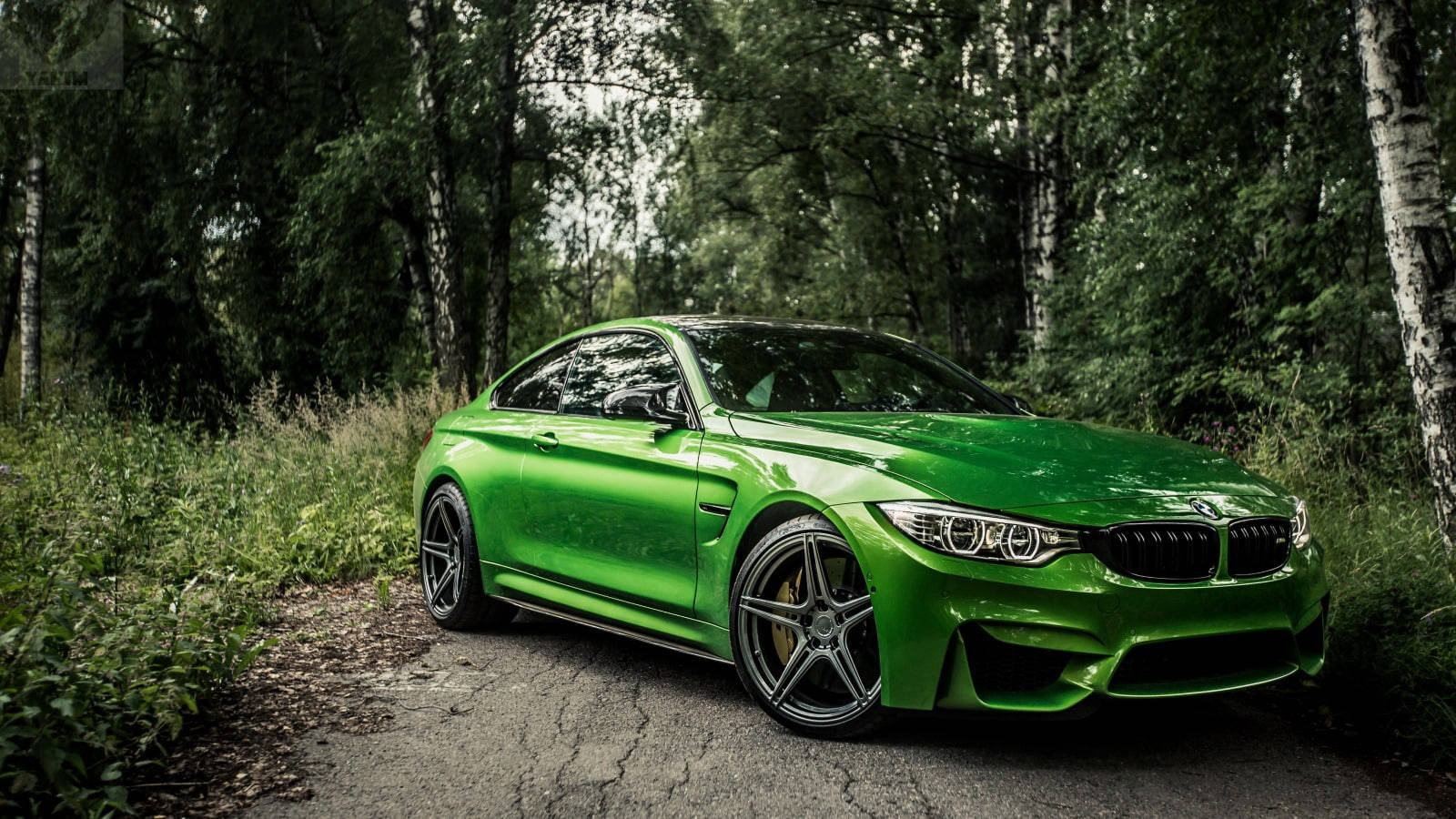 숲 속을 질주하는 웅장한 초록색 BMW M4 배경화면
