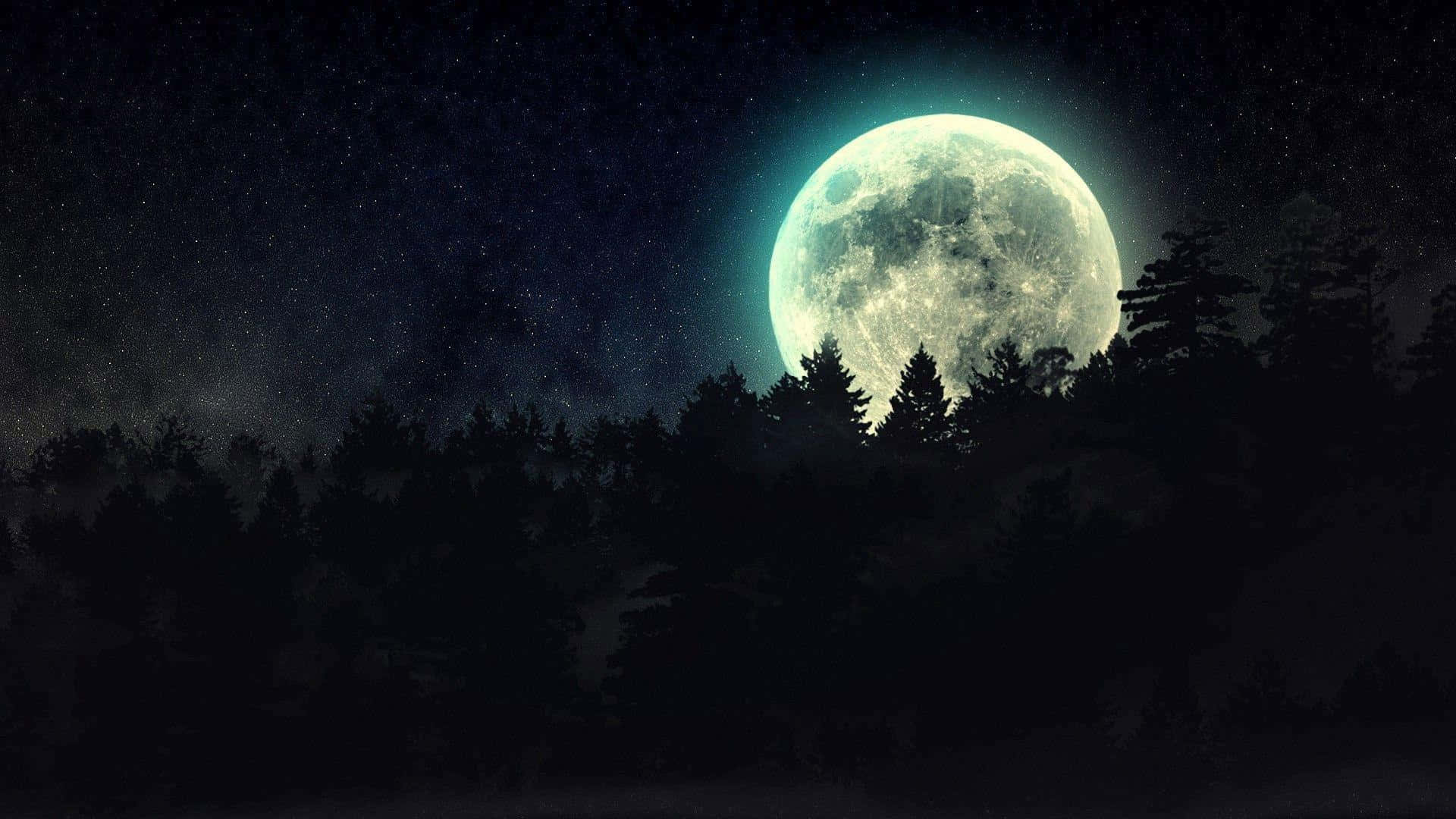 숲 위로 보이는 보름달 배경화면