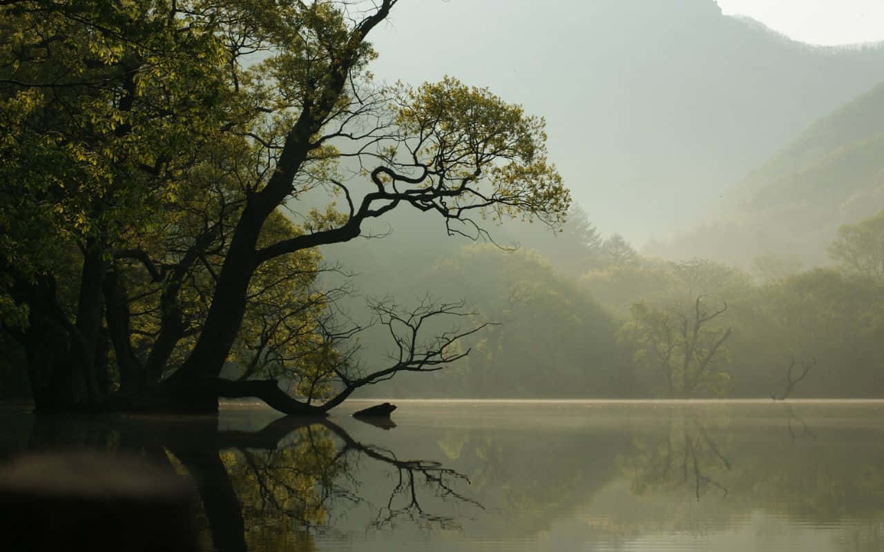 시에라 네바다 산맥의 장관 풍경 배경화면